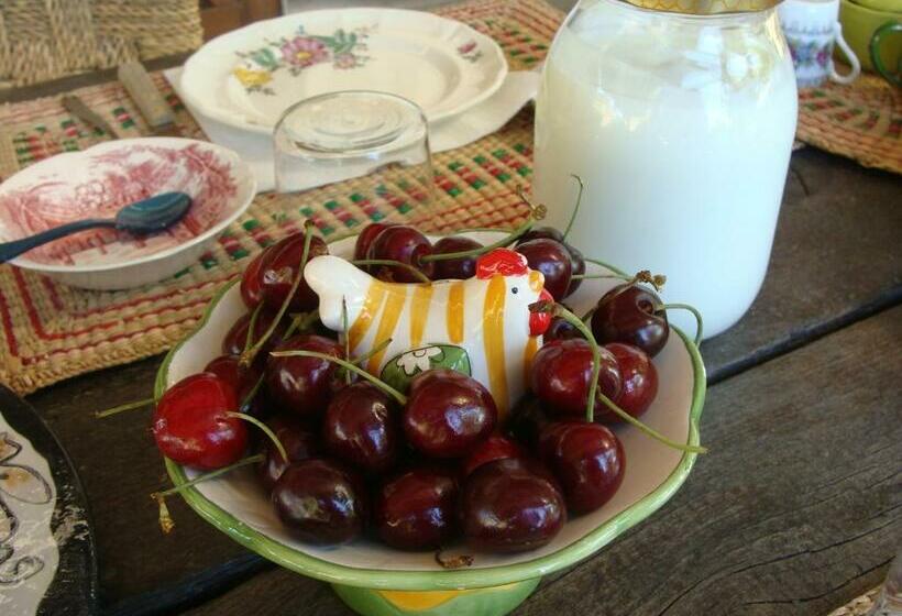 חדר לארבעה סטנדרטי עם נוף לגינה, Nocini Di Maremma