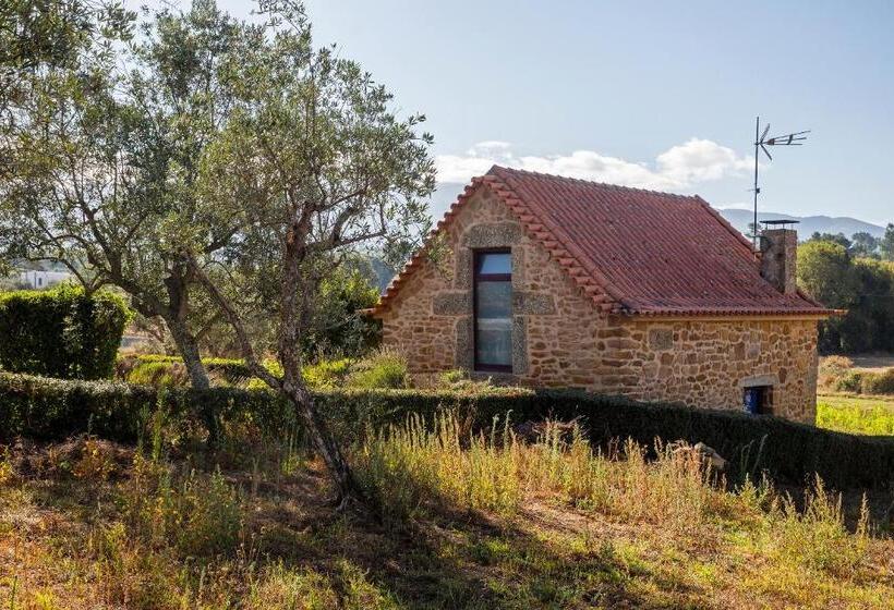 شاليه غرفة نوم واحدة, Quinta Do Chão Da Vinha