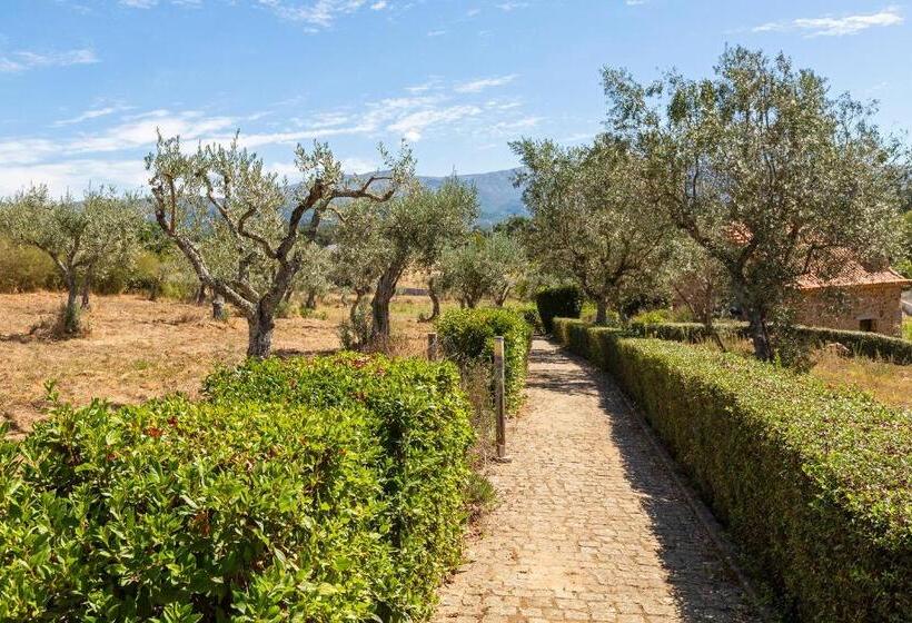 Шале 1 Спальня, Quinta Do Chão Da Vinha