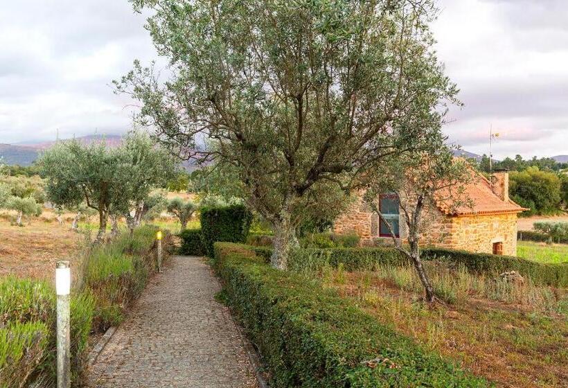 シャレー1寝室, Quinta Do Chão Da Vinha