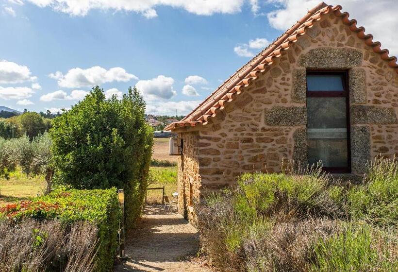 Шале 1 Спальня, Quinta Do Chão Da Vinha