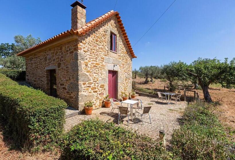 شاليه غرفة نوم واحدة, Quinta Do Chão Da Vinha