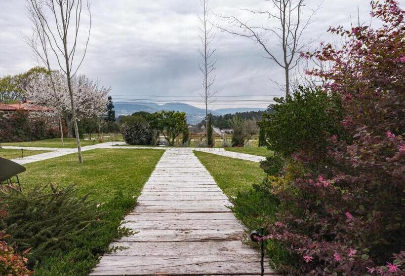 غرفة قياسية, Lavandeira Douro Nature & Wellness