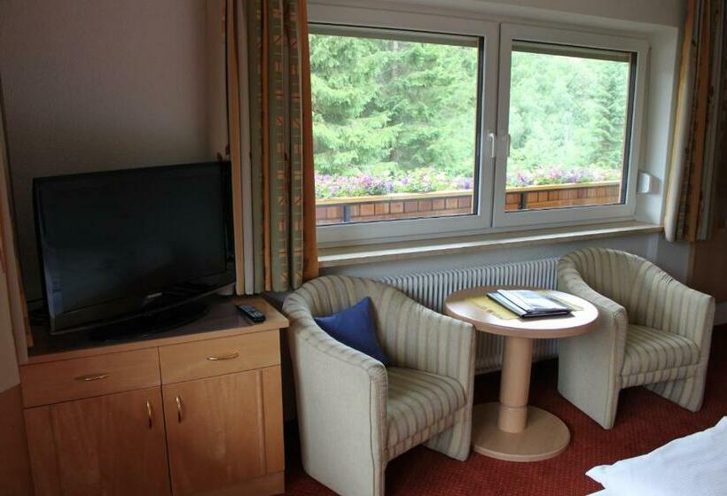 Comfort room with balcony, Garni Waldhof   Wohlfühlen Am Lech