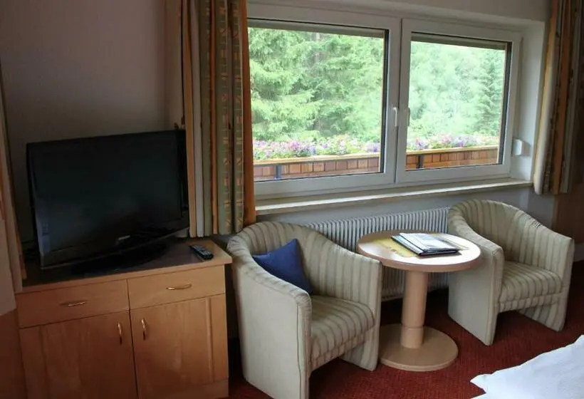 Comfort room with balcony, Garni Waldhof Wohlfühlen Am Lech