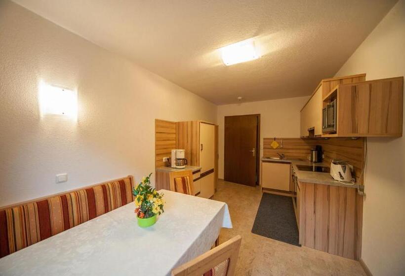 Апартаменты 1 Спальня с Балконом, Garni Waldhof   Wohlfühlen Am Lech