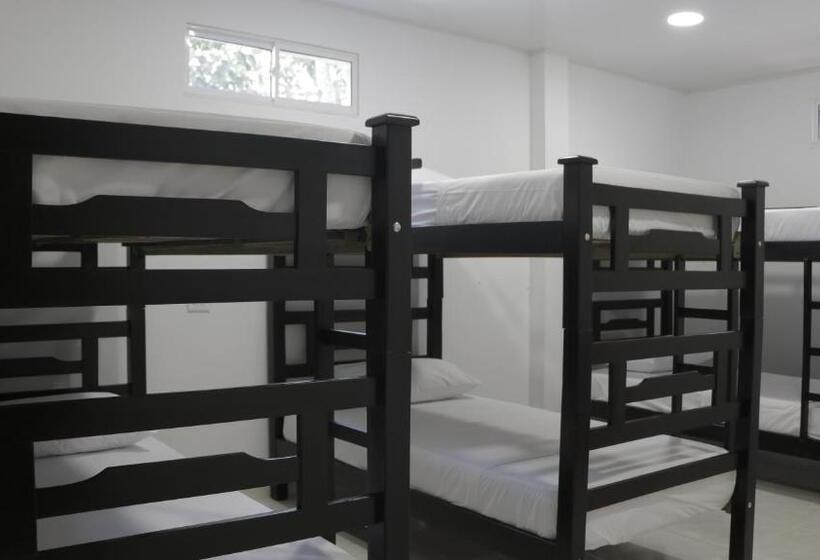 共用房间的床, Puerto Caribe Hostal