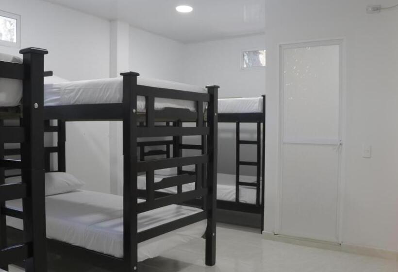 공동 객실, Puerto Caribe Hostal
