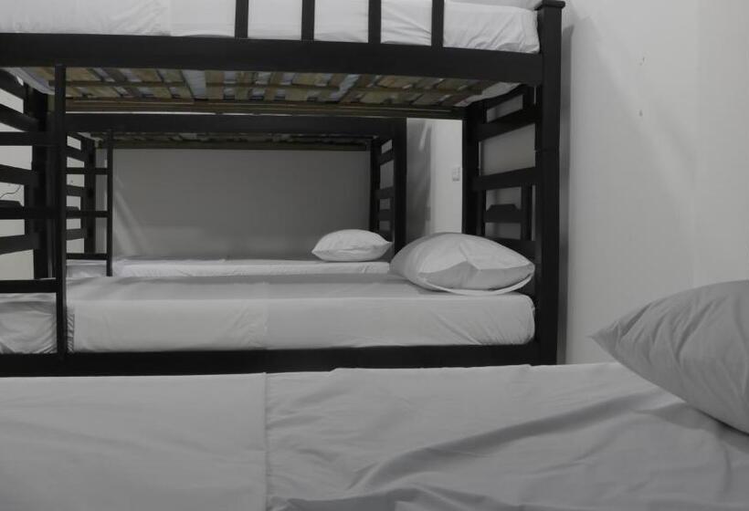 Кровать в Общей Комнате, Puerto Caribe Hostal
