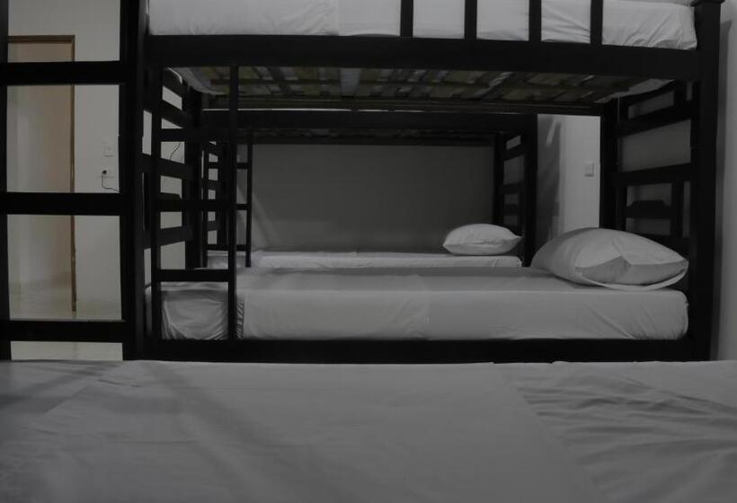 共用房间的床, Puerto Caribe Hostal