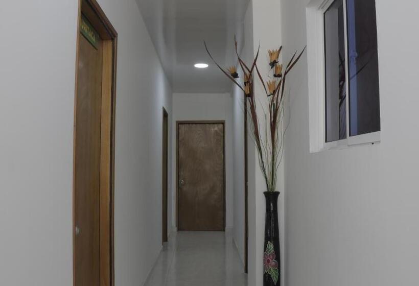 공동 객실, Puerto Caribe Hostal