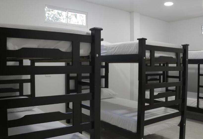 Кровать в Общей Комнате, Puerto Caribe Hostal