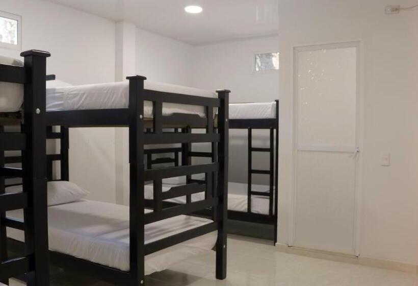 共用房间的床, Puerto Caribe Hostal