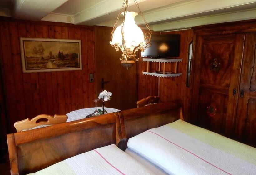 Номер Стандарт, Pension Adler