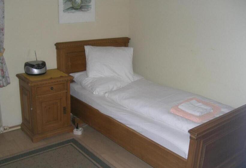 חדר סטנדרט יחיד, Pension Landhaus Ingrid B&b