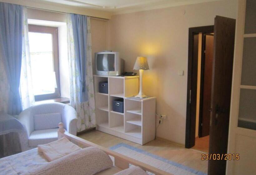 חדר סטודיו סטנדרד, Pension Landhaus Ingrid B&b