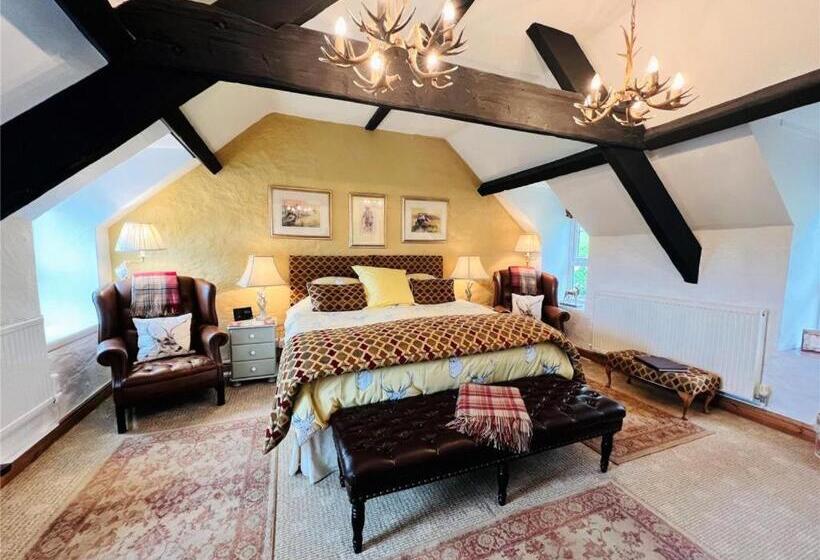 豪华园景房, Yr Hen Felin The Old Mill B&b