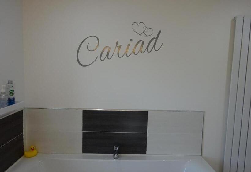 带大床的高级房间, Yr Hen Felin The Old Mill B&b