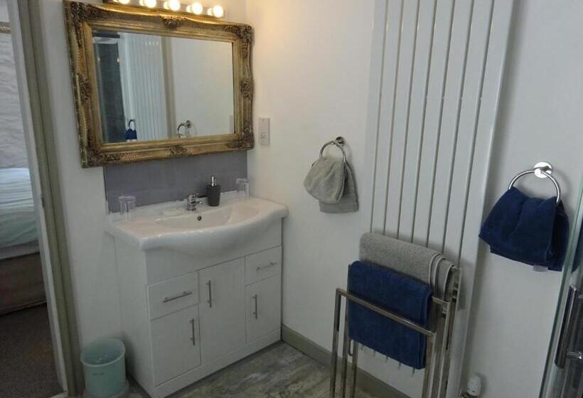 带大床的豪华间, Yr Hen Felin The Old Mill B&b