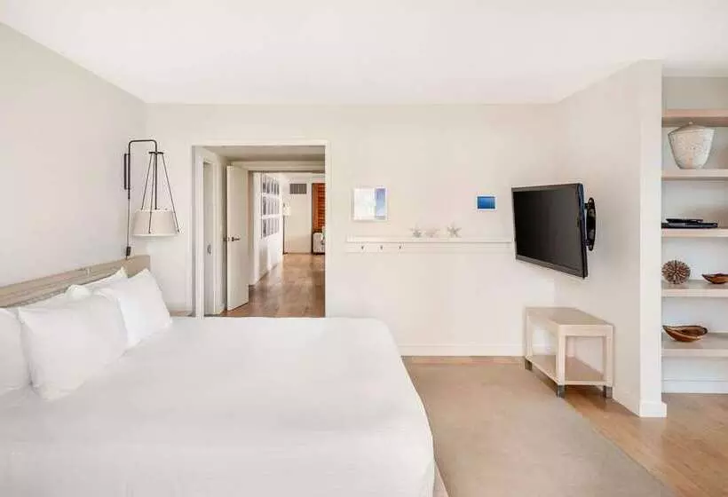 ペントハウスルーム, Diplomat Beach Resort Hollywood Curio Collection By Hilton