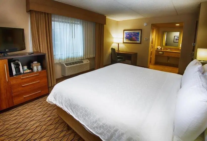 キングサイズベッドのスタンダードルーム, Grand Canyon Hotel & Suites