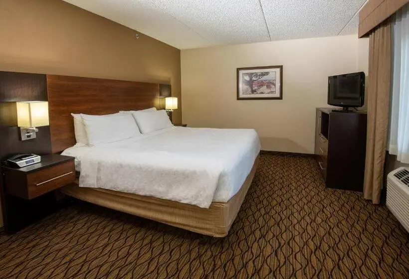 キングサイズベッドのスタンダードルーム, Grand Canyon Hotel & Suites
