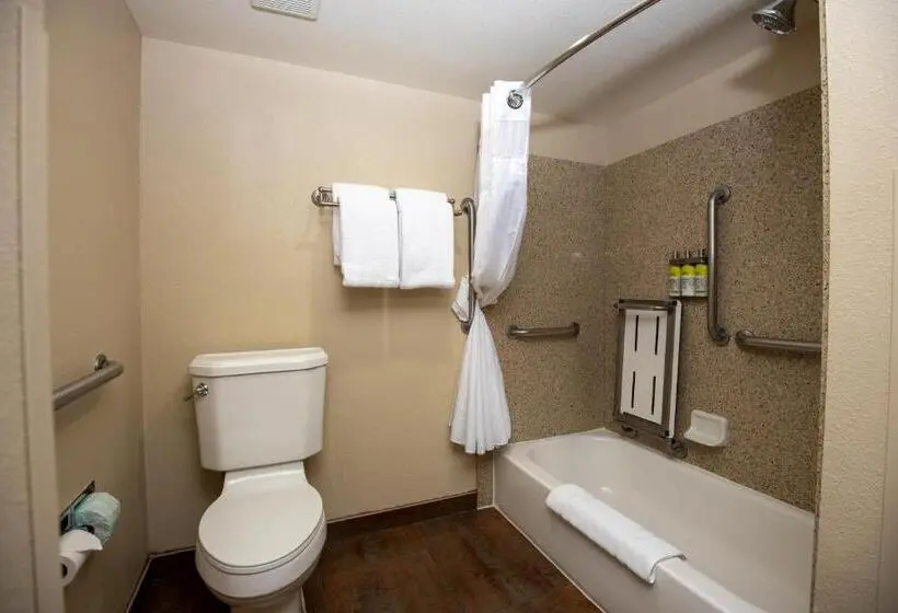 身障者適用キングサイズベッドルーム, Grand Canyon Hotel & Suites