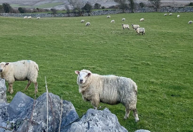 Семейный Номер, Cappabhaile House