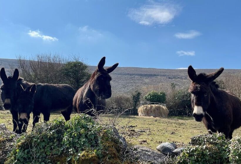 Семейный Номер, Cappabhaile House