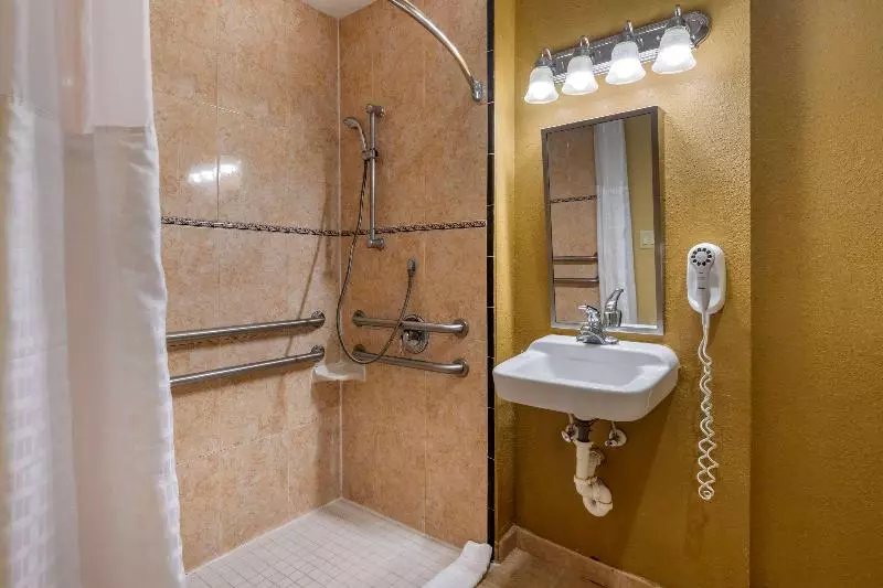 キングサイズベッドのスイートルーム, Comfort Suites Sawgrass