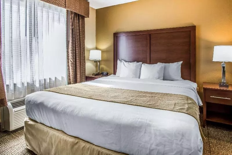キングサイズベッドのスイートルーム, Comfort Suites Sawgrass