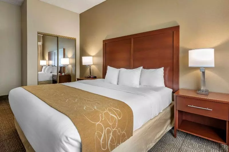 キングサイズベッドのスイートルーム, Comfort Suites Sawgrass
