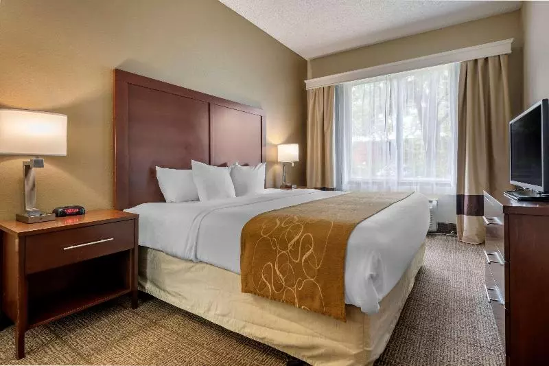 キングサイズベッドのスイートルーム, Comfort Suites Sawgrass