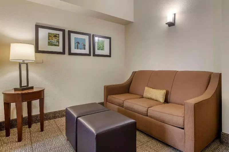 キングサイズベッドのスイートルーム, Comfort Suites Sawgrass