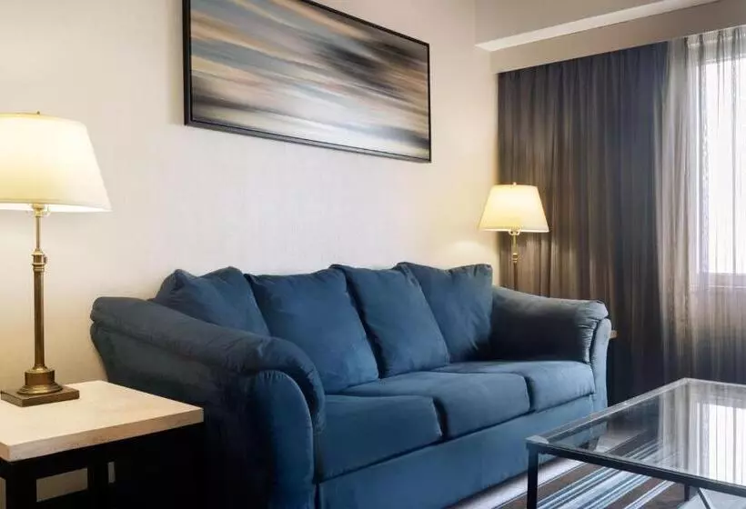 سوئیت با تخت بزرگ, Courtyard By Marriott New York Jfk Airport