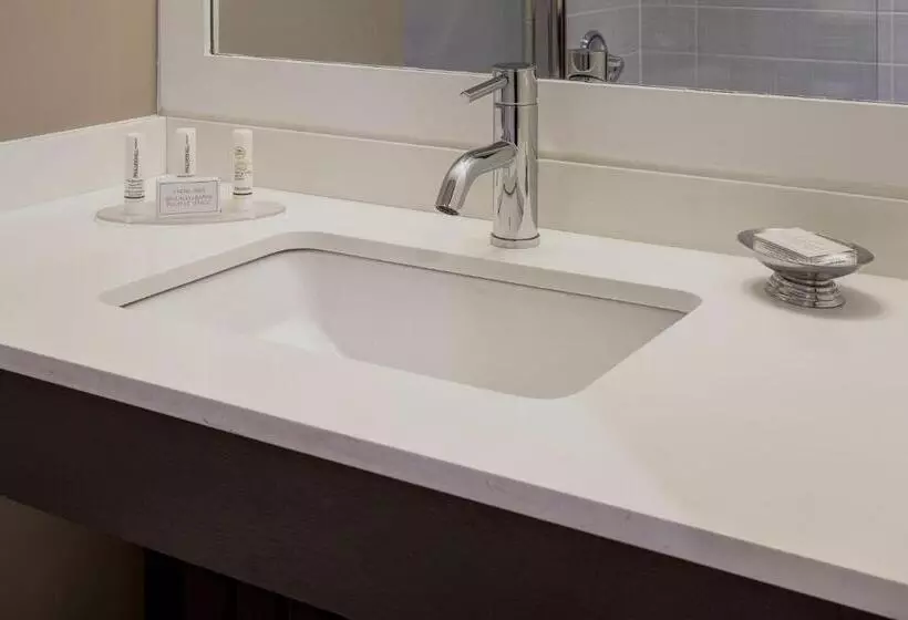 اتاق اجرایی با تخت بزرگ, Courtyard By Marriott New York Jfk Airport