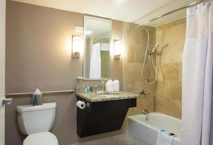 身障者適用キングサイズベッドルーム, Crowne Plaza Memphis Downtown, An Ihg