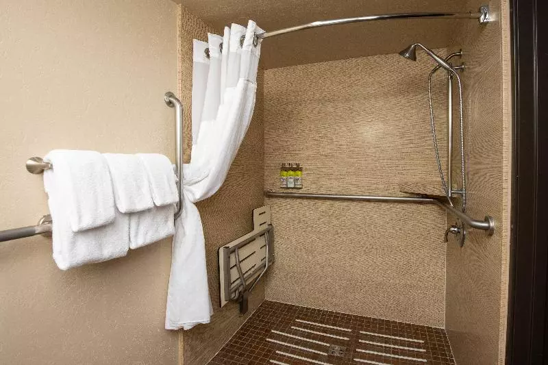 身障者適用キングサイズベッドルーム, Grand Canyon Hotel & Suites