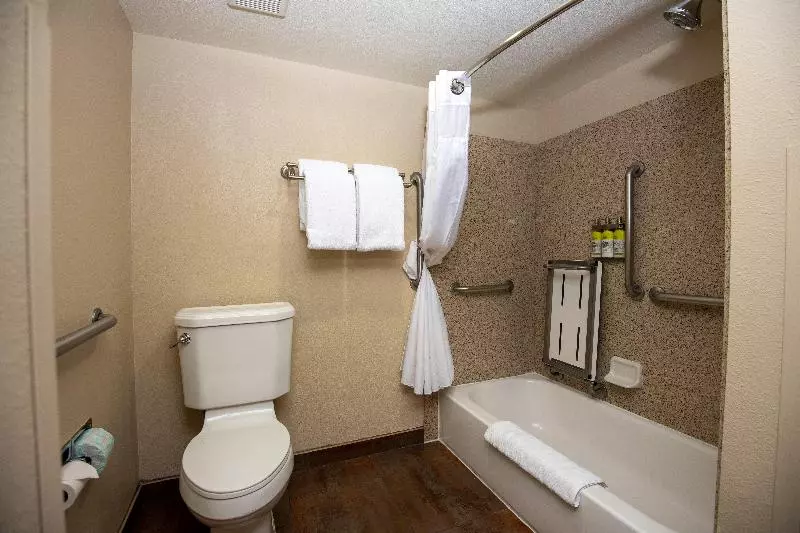 キングサイズベッドのスタンダードルーム, Grand Canyon Hotel & Suites