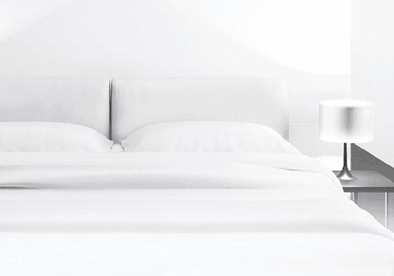 Номер Стандарт, Pujol