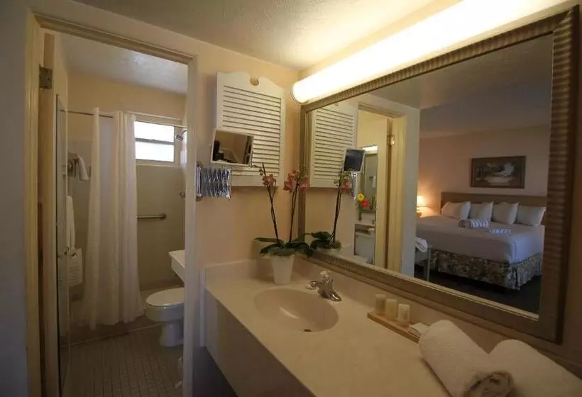 اتاق استاندارد برای معلولان, Sandcastle Resort At Lido Beach