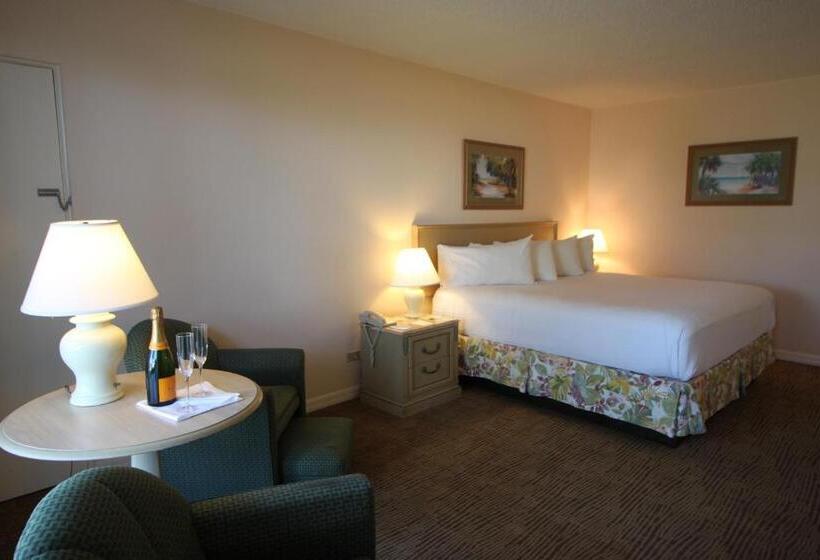 장애인을 위한 킹사이즈 침대 스탠다드 룸, Sandcastle Resort At Lido Beach