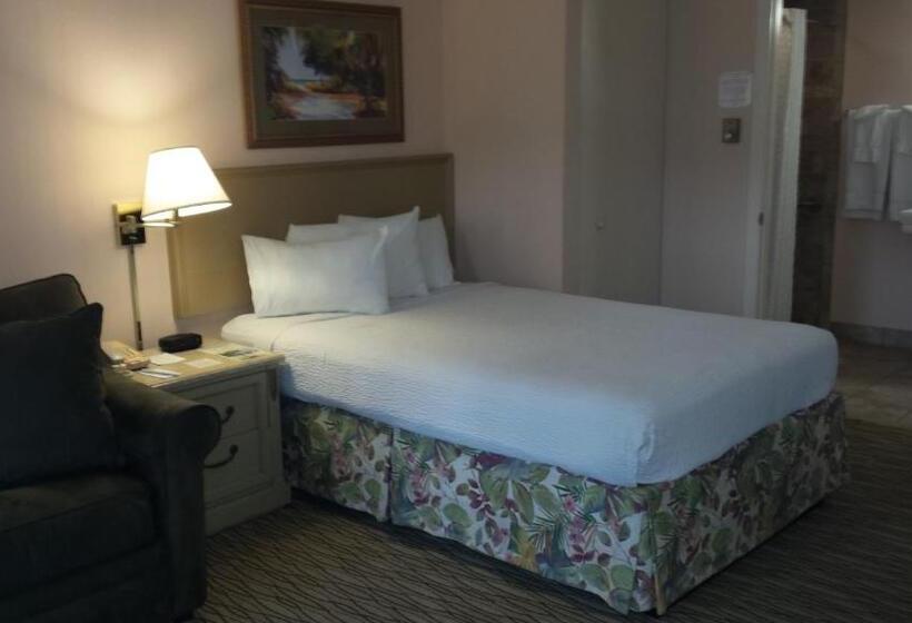 غرفة قياسية سرير كينج لذوى الإحتياجات الخاصة, Sandcastle Resort At Lido Beach