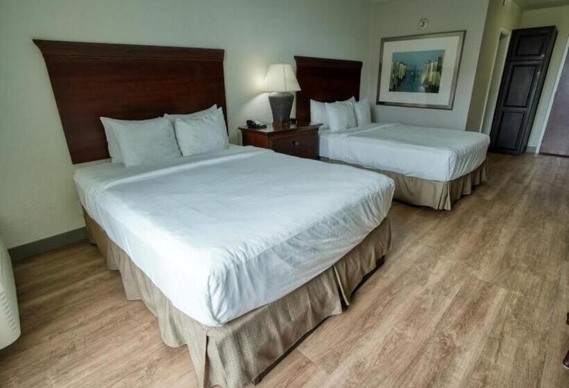 Номер Стандарт, Treasure Island Hotel And Marina