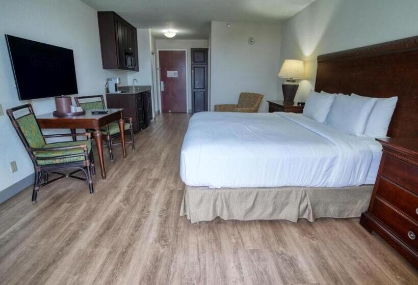 غرفة قياسية سرير كينج, Treasure Island Hotel And Marina