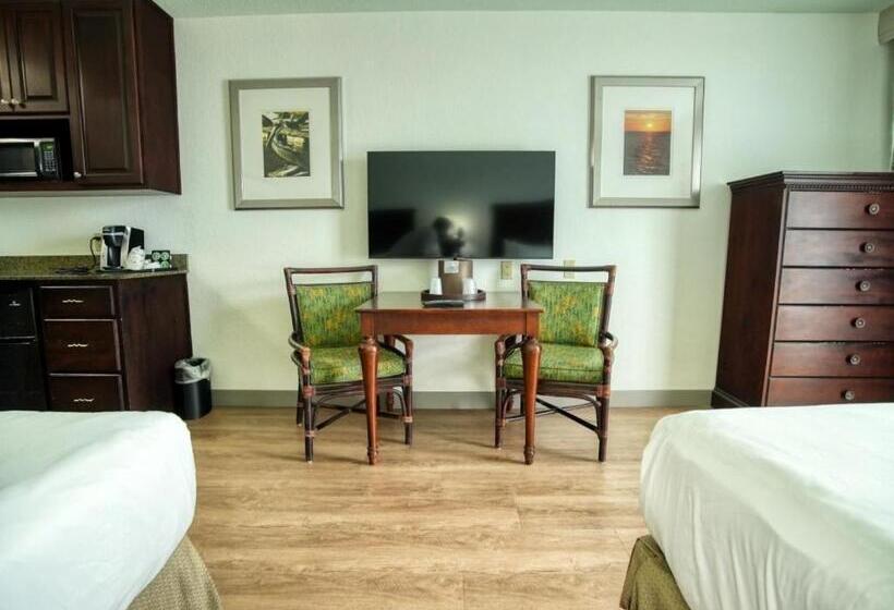 Номер Стандартный с Видом, Treasure Island Hotel And Marina