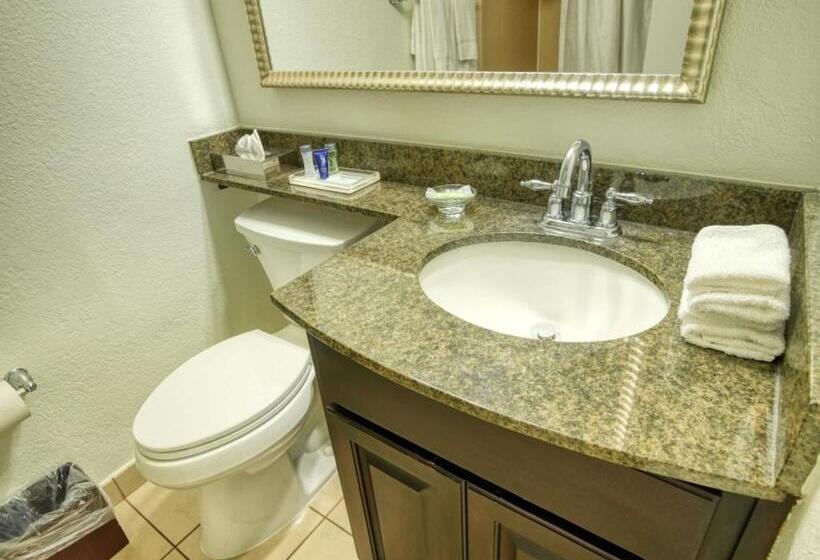 Номер Стандартный с Видом, Treasure Island Hotel And Marina