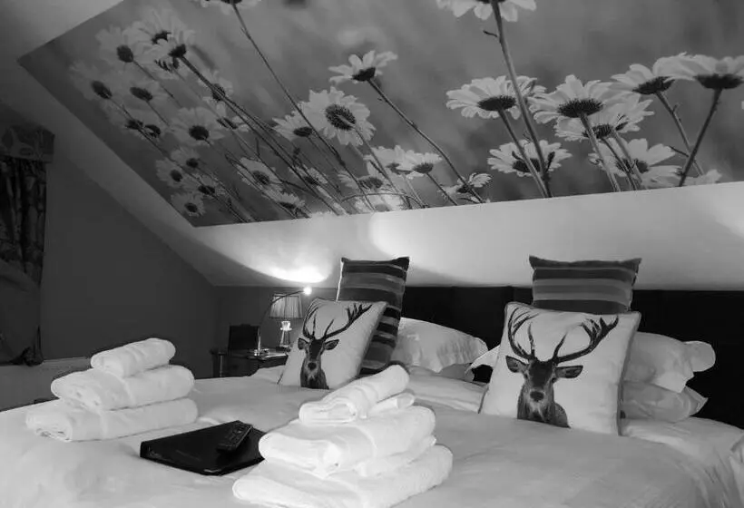 ファミリールーム, Ashbrook House B&b