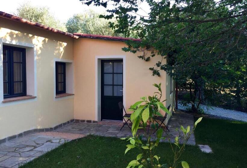 شقة غرفة نوم واحدة بالطابق الأرضى, Agriturismo Ada Musso Ss