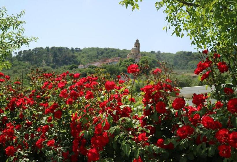 شقة غرفة واحدة مزودة بتراس, Agriturismo Ada Musso Ss